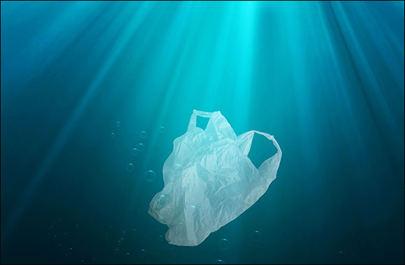The Environment Agency – Abu Dhabi Announces Ban on Single-Use Plastic Bags from June 2022