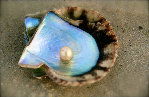 EAD and FAO Join Efforts to Revive the Pearl Industry in Abu Dhabi