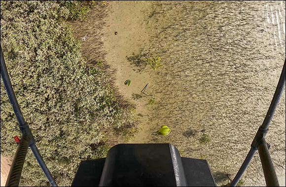 Environment Agency – Abu Dhabi Plants One Million Mangrove Seeds by Drone
