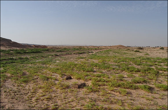 The Environment Agency – Abu Dhabi Issues the Executive Regulations of the Grazing Law in Abu Dhabi to Conserve Wild Plants