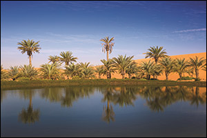 The Environment Agency – Abu Dhabi Successfully Receives 150 Applications