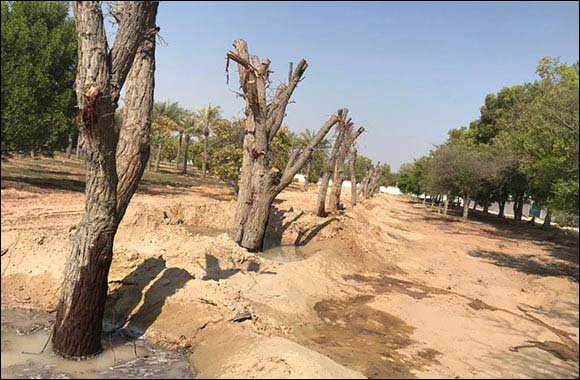 Environment Agency � Abu Dhabi and Etihad Rail Ensure the Highest Sustainability Standards Across Construction of Rail Network