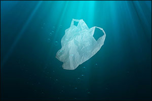 The Environment Agency – Abu Dhabi Announces Ban on Single-Use Plastic Bags from June 2022