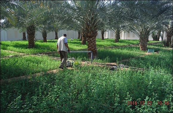 Environment Agency � Abu Dhabi Announces 2021 Achievements for the Protection of Groundwater