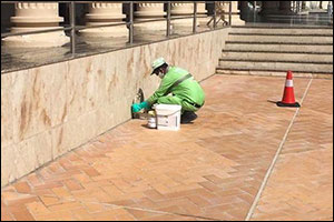 Tadweer Develops an integrated Action Plan for Eid al-Fitr