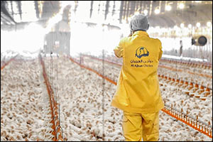 Ghitha's Q3 Earnings Ignite with AED 3.3B in Revenue