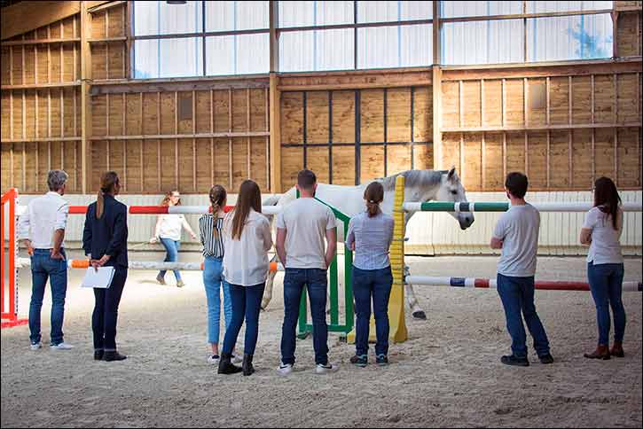 NB & Associates Brings Innovative Equine-Assisted Training to the UAE: Equicoaching Takes Center Stage at ADIHEX 2025