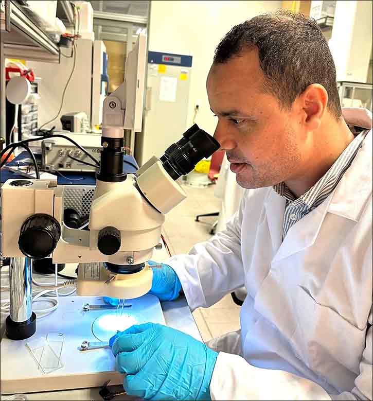 NYU Abu Dhabi Researchers Develop Wireless Light Pill to Control Gut Neurons Without Surgery