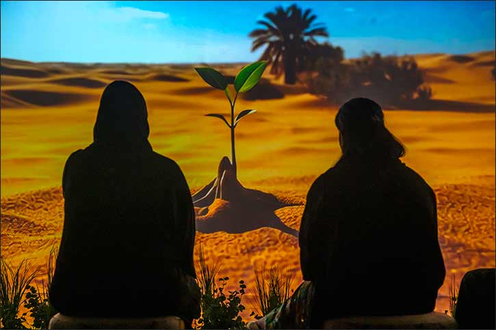 How Abu Dhabi is blending innovation and heritage to protect natural legacy