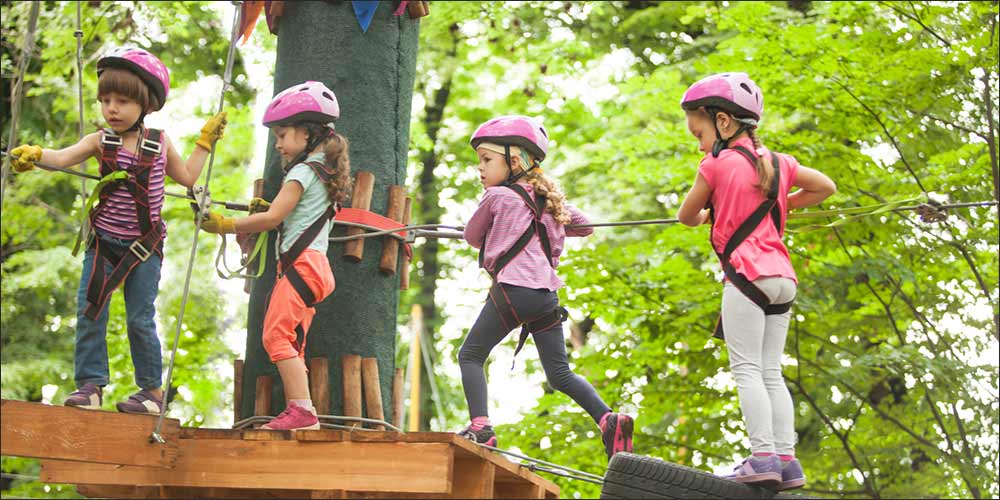 A Wild Escape Awaits at DAZ Festival 2026