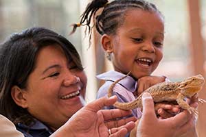 Summer Camp Returns at Emirates Park Zoo & Resort