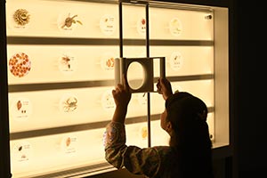 Natural History Museum Abu Dhabi  Marine Month  WHAT'S ON: August 2026