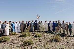 Sheikh Zayed Falcon Release Programme releases 2,400+ falcons in the wild since 1995 founding