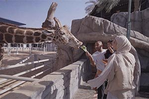 5 Things to Do at Emirates Park Zoo & Resort in Abu Dhabi This Winter